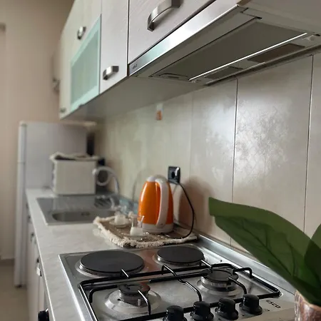 Seaview Penthouse 公寓